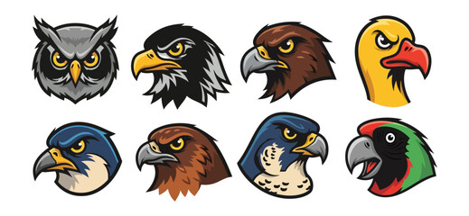 Obraz premium Birds of prey collection vector illustrations