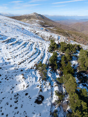 Aerial View of Snow Covered Hill with Green Pine Trees under Clear Blue Sky