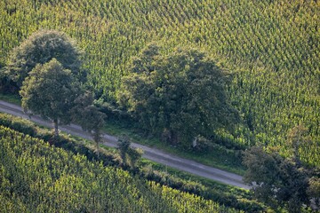 la campagne Bretonne de Gou&eacute;zec &agrave; Spezet vu de montgolfi&egrave;re en Finist&egrave;re France