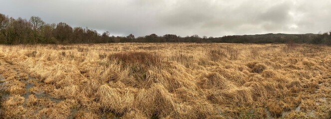 Promenade dans les tourbi&egrave;res des Monts d'Arr&eacute;e en Finist&egrave;re Bretagne Cornouaille France