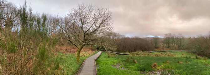Promenade dans les tourbi&egrave;res des Monts d'Arr&eacute;e en Finist&egrave;re Bretagne Cornouaille France