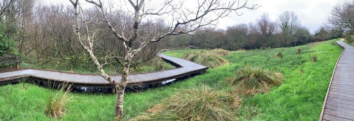 Promenade dans les tourbi&egrave;res des Monts d'Arr&eacute;e en Finist&egrave;re Bretagne Cornouaille France