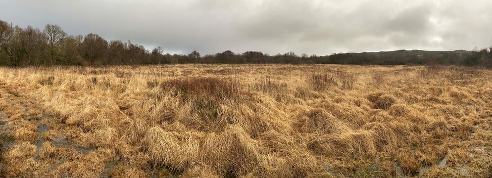 Promenade dans les tourbi&egrave;res des Monts d'Arr&eacute;e en Finist&egrave;re Bretagne Cornouaille France