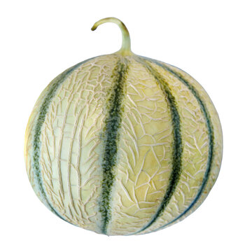 Charentais-Melone