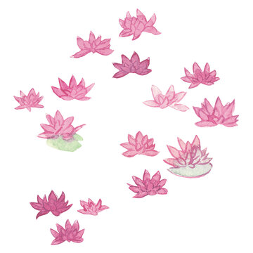 aquarelle fleur n&eacute;nuphar, petite illustration, ornement, rose, rouge, peinture