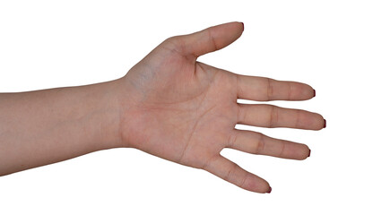 Open female palm hand gesture isolated on transparent background.
