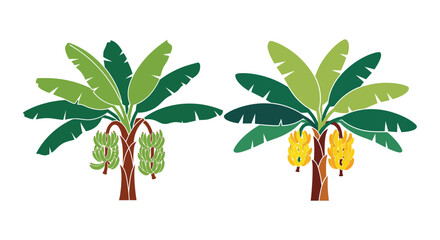 Two stylized banana plants with green and yellow fruit bunches © Begum