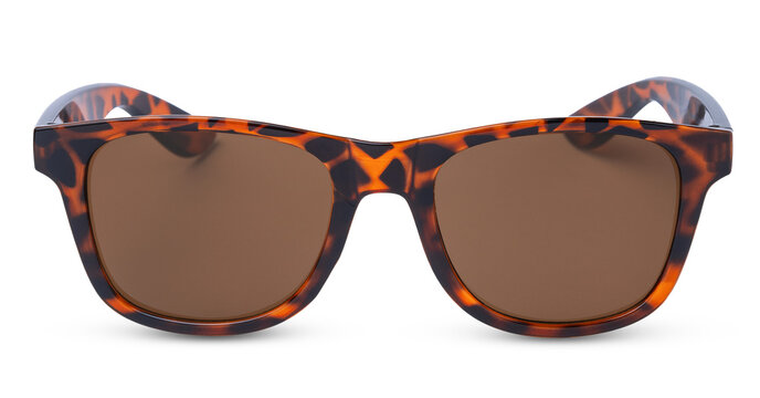 Leopard sunglasses isolated on white background. Glasses shape classic style with clipping path.