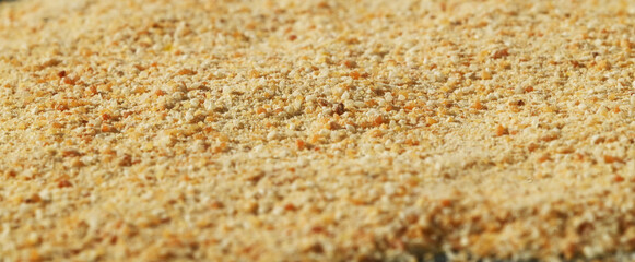 Garlic Powder Texture Background, Dried Ground Garlic Spice Macro