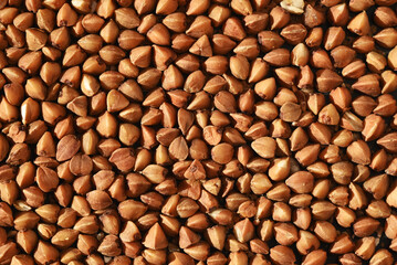 Buckwheat Grain Texture. Food Background