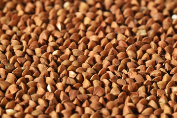 Buckwheat Grain Texture. Food Background