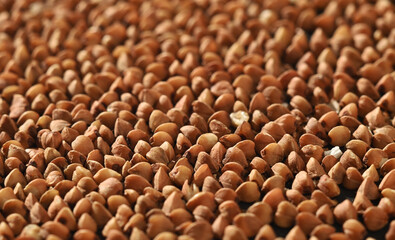 Buckwheat Grain Texture. Food Background