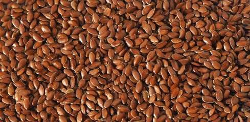 flax texture. linseed background macro