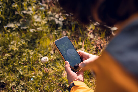 Person photographing wild mushroom with smartphone outdoors