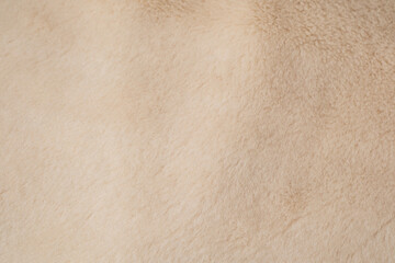 Detailed close up of soft light beige fur fabric texture providing a luxurious warm background © reddish