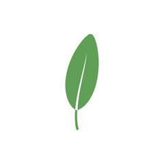 Obraz premium Stylized Single Sage Leaf, Flat Green Botanical Vector Icon on White Background