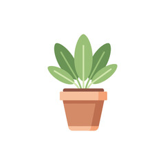 Obraz premium Potted Sage Plant Illustration Bright Flat Minimal Vector Design