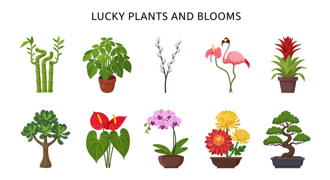 Ten illustrated lucky plants and blooms arranged in two horizontal rows