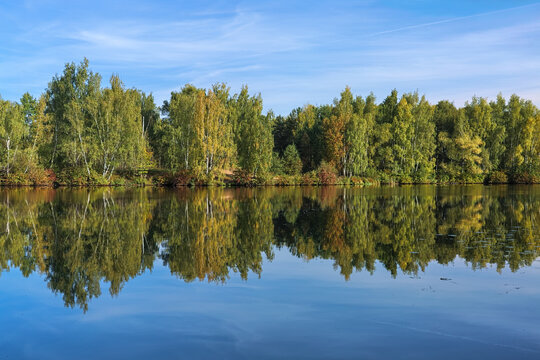 Autumn landscape with trees reflecting in the calm water of a river in the morning