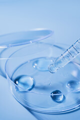 Pipette dropping clear liquid drops into clear petri dish on blue background