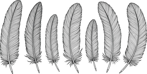 Seven detailed feather illustrations, intricate black and white vector artwork emphasizing texture and variation for decorative design, artistic background © Roisul