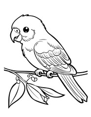 Fototapeta premium birds coloring page, bird coloring pages, wildlife coloring sheets, tropical bird coloring page, bird coloring book, animal coloring page, animals coloring book