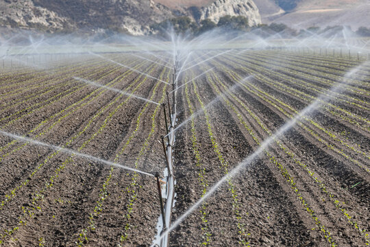 Aerial View of Sprinkler Irrigation on California Farm