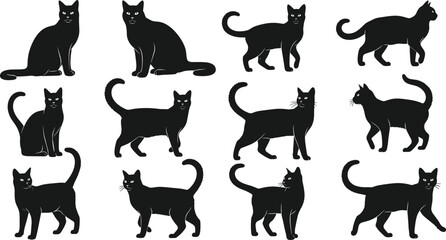 Twelve black cat silhouette illustrations, diverse feline poses vector artwork featuring sitting, standing, walking, turning designs for creative projects © Mozibur