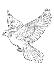 Fototapeta premium birds coloring page, bird coloring pages, wildlife coloring sheets, tropical bird coloring page, bird coloring book, animal coloring page, animals coloring book