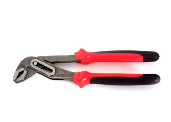 Obraz premium crocodile clips in studio