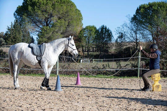 riding girl and horse