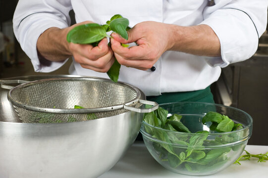 Pesto genovese, preparazione, cucina, ricetta
