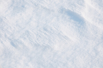 Obraz premium Close up view of fresh sparkling pure white snow surface with subtle texture and soft shadows
