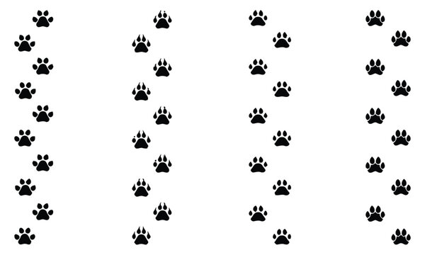 Animal paw print tracks in four columns on white background