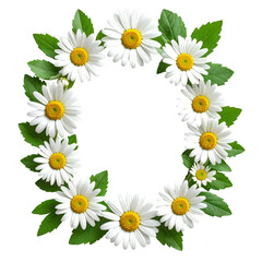 Daisy Garland: A delicate arrangement of vibrant daisies forms a beautiful circular garland. Captured against the pure background.