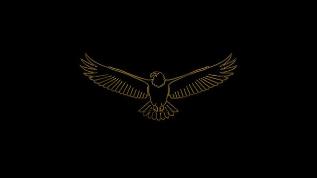 Golden Eagle Line Art Motion