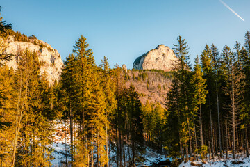 Mountain view with hiking path in Javorova dolina nature reserve during a winter sunny day in Slovakia in High Tatras mountains © Zedspider