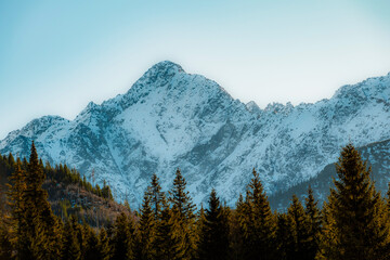Mountain view with hiking path in Javorova dolina nature reserve during a winter sunny day in Slovakia in High Tatras mountains © Zedspider