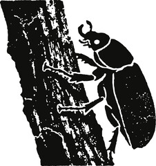 Beetle crawling on tree bark silhouette with detailed texture and natural insect pose