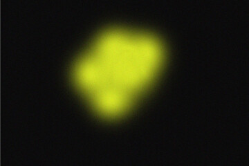 Abstract Neon Yellow Glow on Dark Background with Soft Light Blur Effect