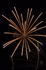 Fototapeta premium Fireworks