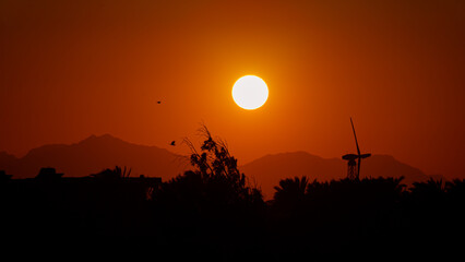Fototapeta premium Golden sunset over the desert mountains in Hurghada, Egypt, featuring silhouettes of palm trees and a wind turbine