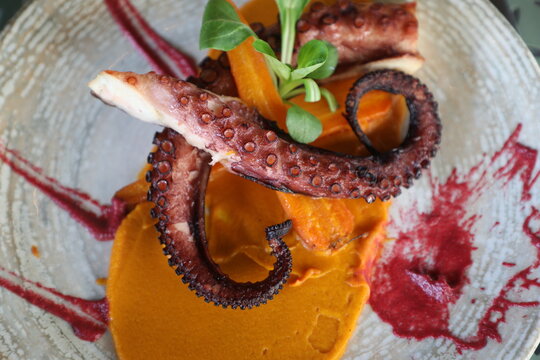 Plat as de poulpe et pur&eacute;e de l&eacute;gumes