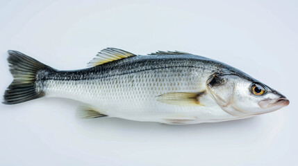 Fresh raw sea bass fish displaying quality and healthy seafood protein for cooking and diet