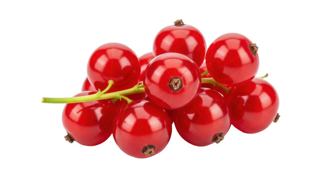 Red currant berries isolated PNG, fresh and juicy fruit on transparent background for healthy eating and summer recipes