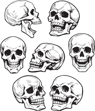 Set hand-drawn human skull from different angles line art illustration Black and white contour silhouettes comic minimal linear graphic style clipart Halloween anatomy tattoo poster design outline ink