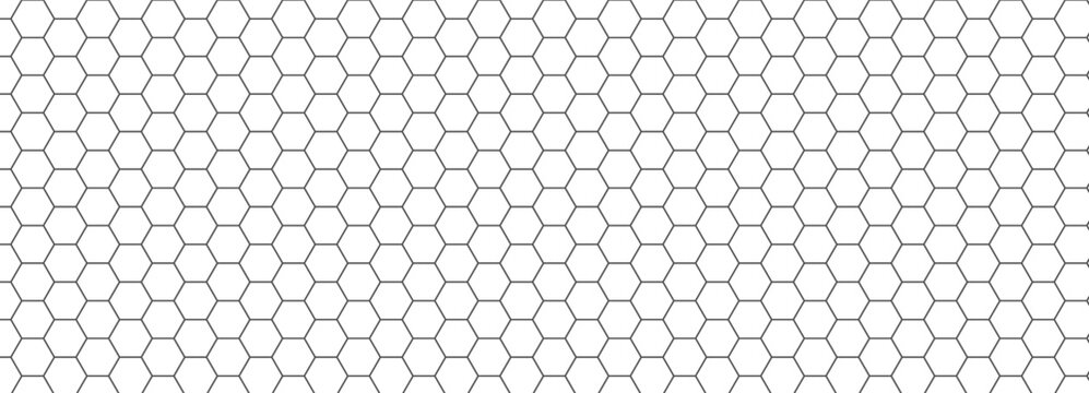 Pattern background texture with hexagon honeycomb bee and honey comb vector. Mesh white grid with hex hive line and seamless tech black. Shape geometric pattern with repeat net hexagon.