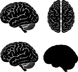 Four distinct views of the human brain showcasing its complex structure and anatomy Vector