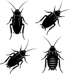 A detailed illustration of four different types of cockroaches in black and white Vector