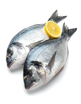 Two fresh dorade fish, silvery skin, one with lemon slice, on white